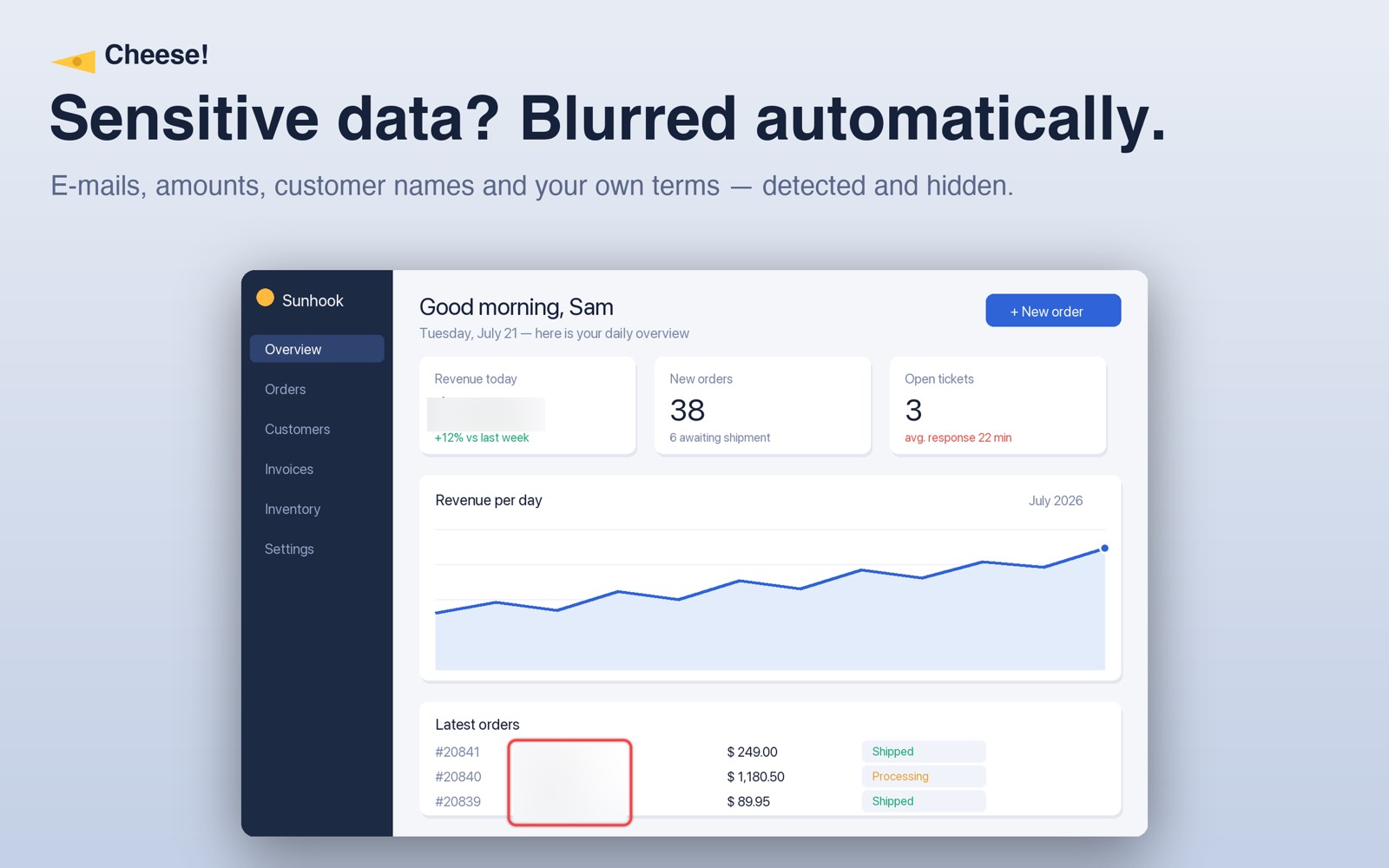 A dashboard with revenue and a customer name automatically blurred